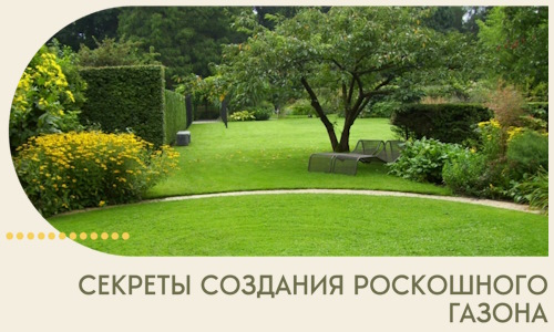 Секреты создания роскошного газона в Югорске